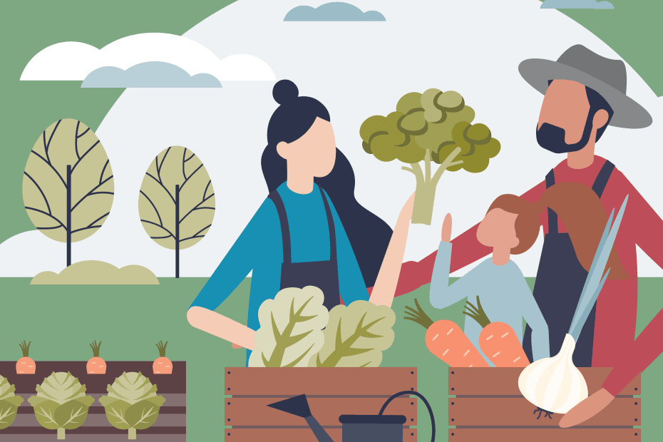 A whimsical illustration of a couple and young child packing home-grown vegetables into crates in their garden. The illustration uses the Here4Life Brand colours of green and pink along with a range of complimentary shades.