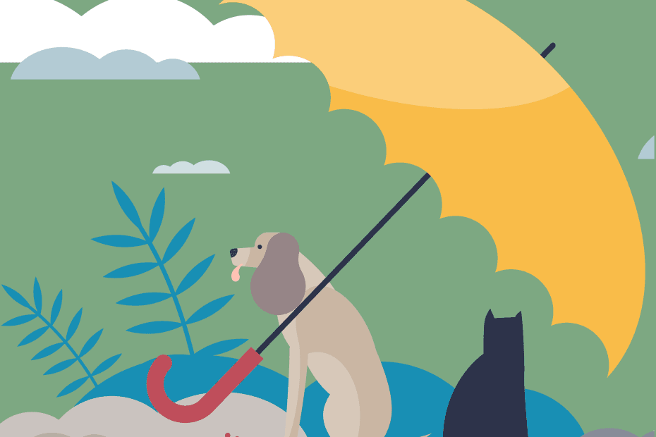 A whimsical illustration of a dog and a cat. They are sitting under a yellow umbrella to represent that they are safe and protected. The illustration uses the Here4Life Brand colours of green and pink along with a range of complimentary shades.