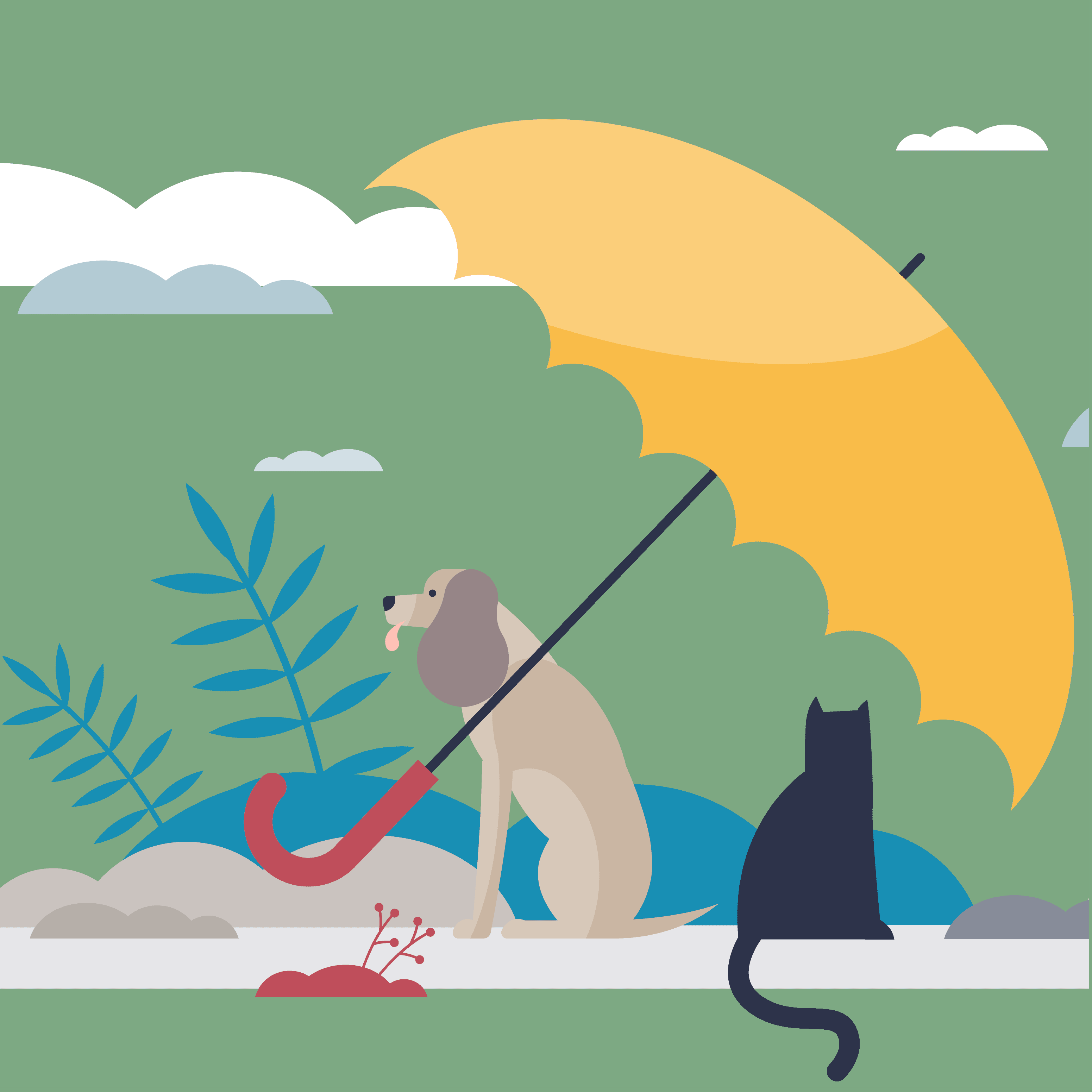 Natural Dog Food Here4 Life